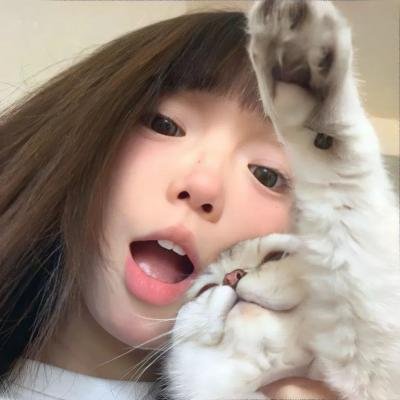爱情领域2