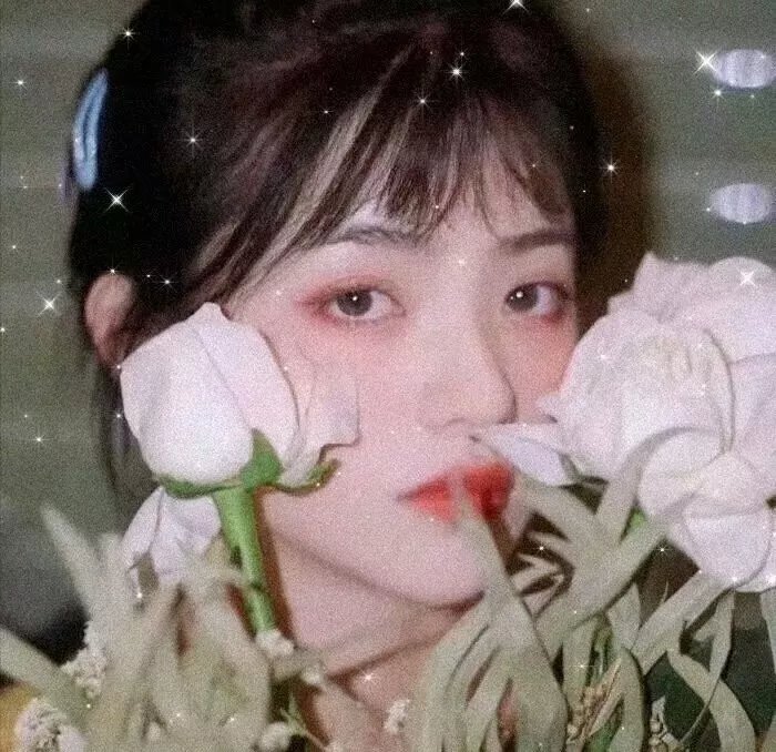 爱情理论